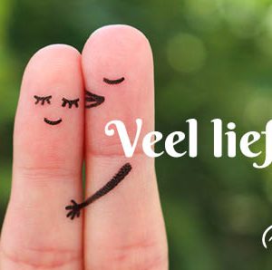25 wenskaartjes 'veel liefs'