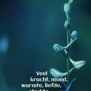 5 Condoleancekaarten met envelop "Bloemknoppen"