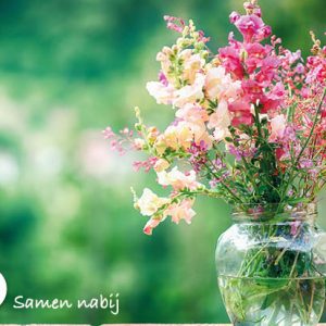 25 wenskaartjes 'bloemen'
